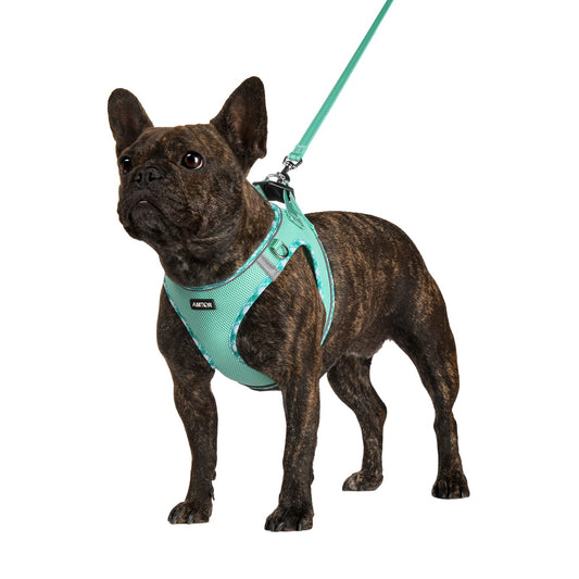 Caando Dog Harness with Leash Set,No Pull Adjustable Reflective Step-in Puppy Harness with Padded Vest for Extra-Small/Small Medium Large Dogs and Cats