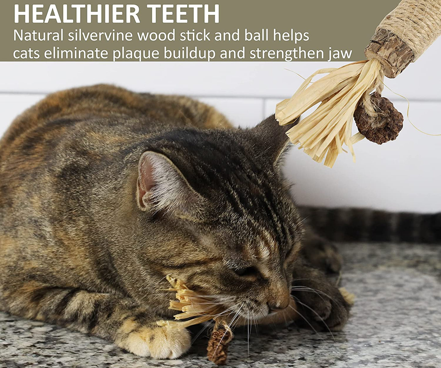 Designed to Clean Your Cats' Teeth, Calm Their Anxiety and Stress, Catnip Chew Toy, Safe for All Ages and Breeds (Set of 2 Sticks)