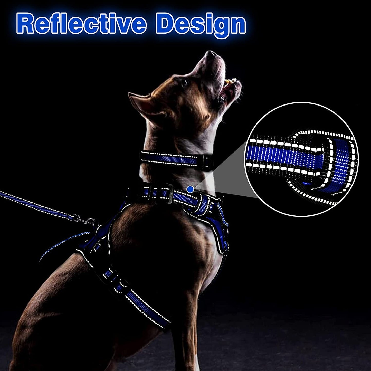 Caando Pet Harness Collar and Leash Set, All-in-one Reflective Dog Harness No Pull with Adjustable Buckles for Puppies, Small, Medium, Large, and Extra-Large Dogs